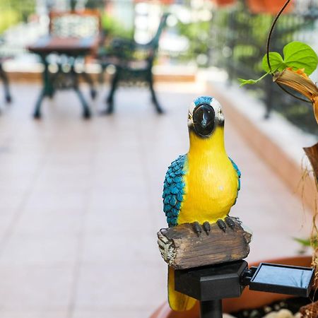 Family Hotel Deykin Солнечный берег Экстерьер фото